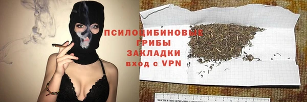 шишки Абдулино