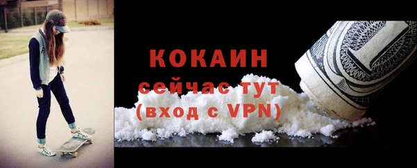 индика Абинск